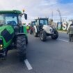 Poljoprivrednici pregovaraju s Anom Brnabić u podne u Kisaču: Šta je sve na listi zahteva? 11