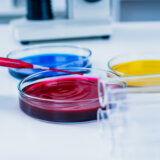 Studenti iz Srbije mogu da se prijave do 31. januara za Kup inovacija u Nemačkoj 8