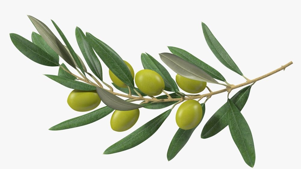 Šta označavaju simboli Palestine koje viđamo na protestima podrške? 3