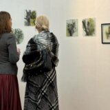 Savršeni dom u ovom nemirnom svetu: Izložba „Hortus conclusus” Marije Matović u Beogradskoj galeriji SULUJ (FOTO) 2