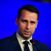 Mitrović (SSP): Ovo je poslednji trenutak da se izborni uslovi u Srbiji poprave 9
