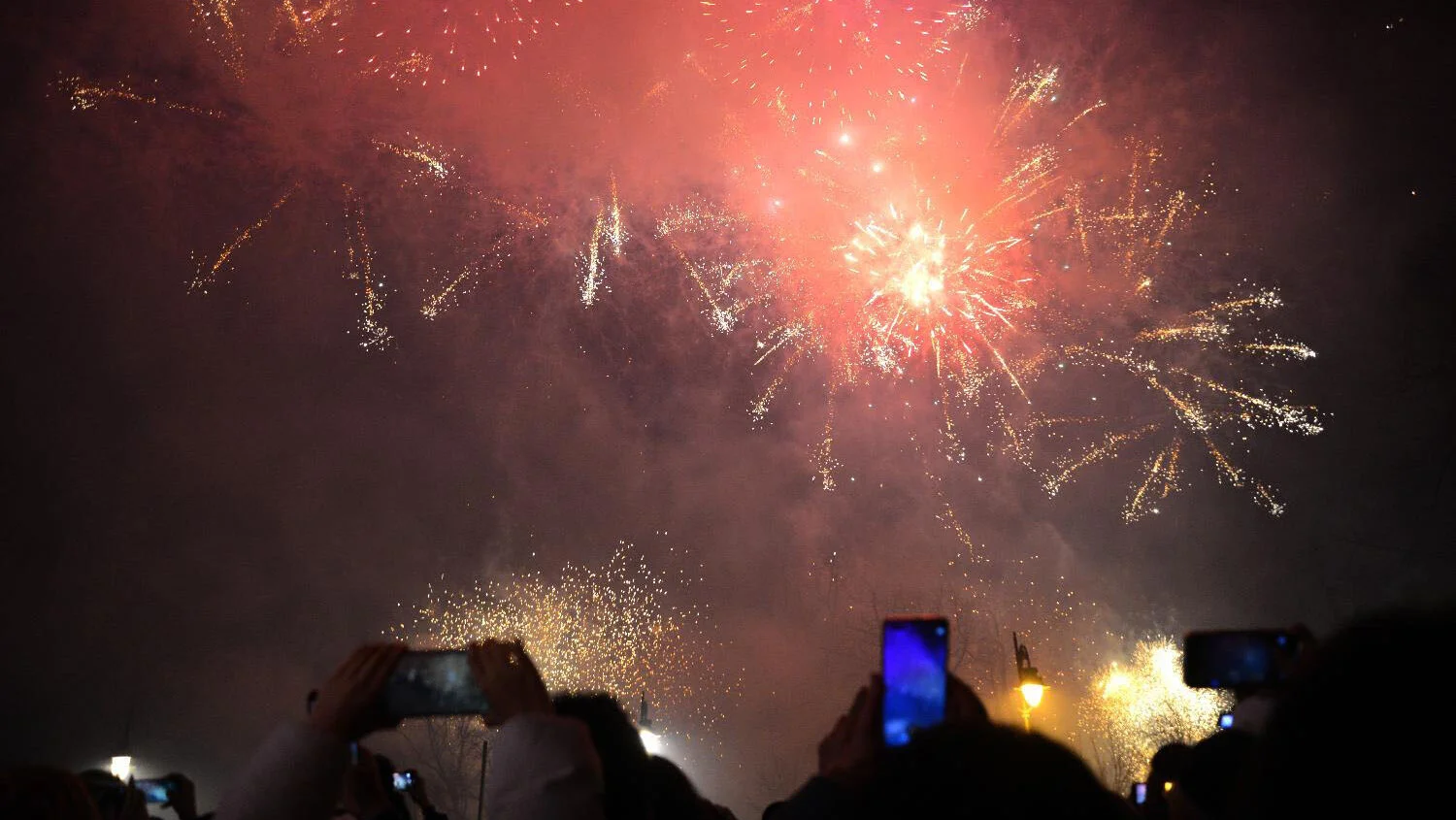 Kako će Šapić da deli novac od novogodišnjeg vatrometa - udruženjima za zaštitu životinja ništa nije jasno 2