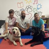 Balkan i psi terapeuti: Kako labradorke Lara i Olani pomažu deci sa smetnjama u razvoju 3