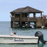 Životinje: Ajkula ubila Amerikanku na Bahamima 5