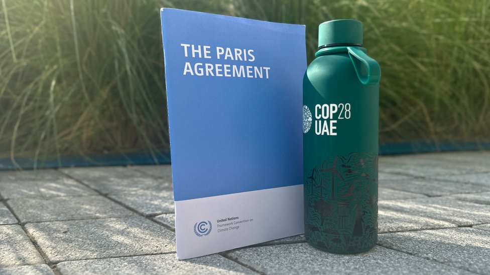 COP228: Pet razloga zbog kojih možemo da se radujemo klimatskim promenama 2 Pariski sporazum