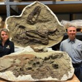 Životinje: Naučnici otkrili šta je poslednje jeo tiranosaurus 3