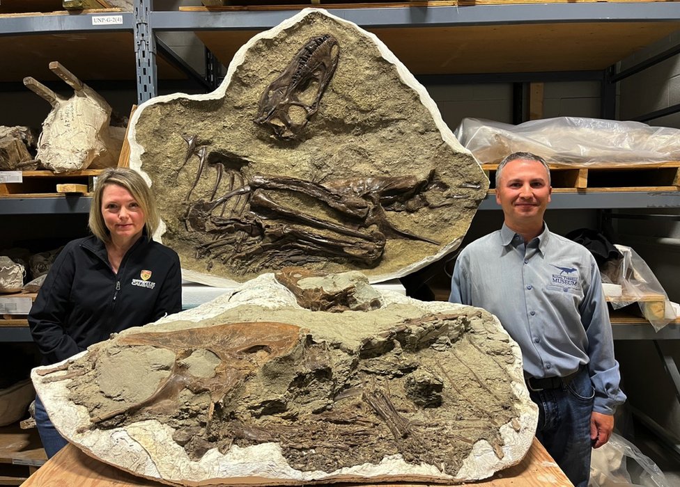 Darla Zelenicki i Fransoa Terijen sa kompletnim fosilom tiranosaurusa