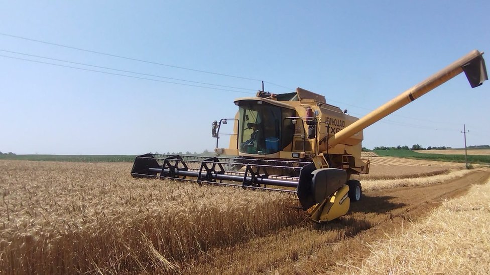 Poljoprivreda i Srbija: „Ne smem ni da pomislim na novu sezonu, situacija je lošija nego što se čini" 2 Ratari