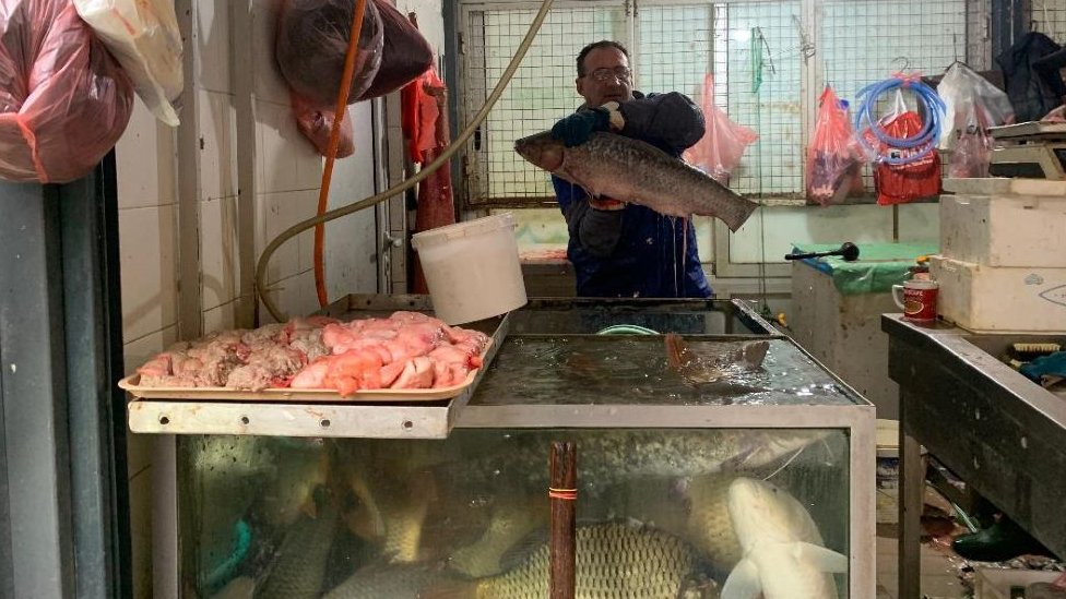 prodavac drži ribu u rukama na pijaci