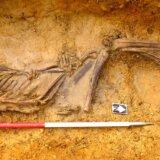 Nauka i istorija: DNK analiza rešila tajnu 2.000 godina starog ljudskog skeleta 3