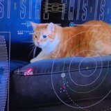 Nauka i tehnologija: NASA emitovala video mačke iz dubokog svemira prenet laserom 5