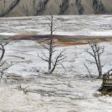 Amerika: Pirs Brosnan optužen za kretanje po nedozvoljenom delu Jeloustouna, najstarijeg nacionalnog parka 10