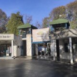 Šta će biti sa Beo zoo-vrtom u 2024. godini - ostaje ili se seli? 8