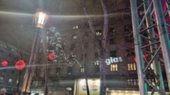 proglas Dejan Bodiroga na poslednjem skupu ProGlasa: Živimo u društvu poremećenih vrednosti, gde je bahatost na svakom koraku (VIDEO, FOTO) 4