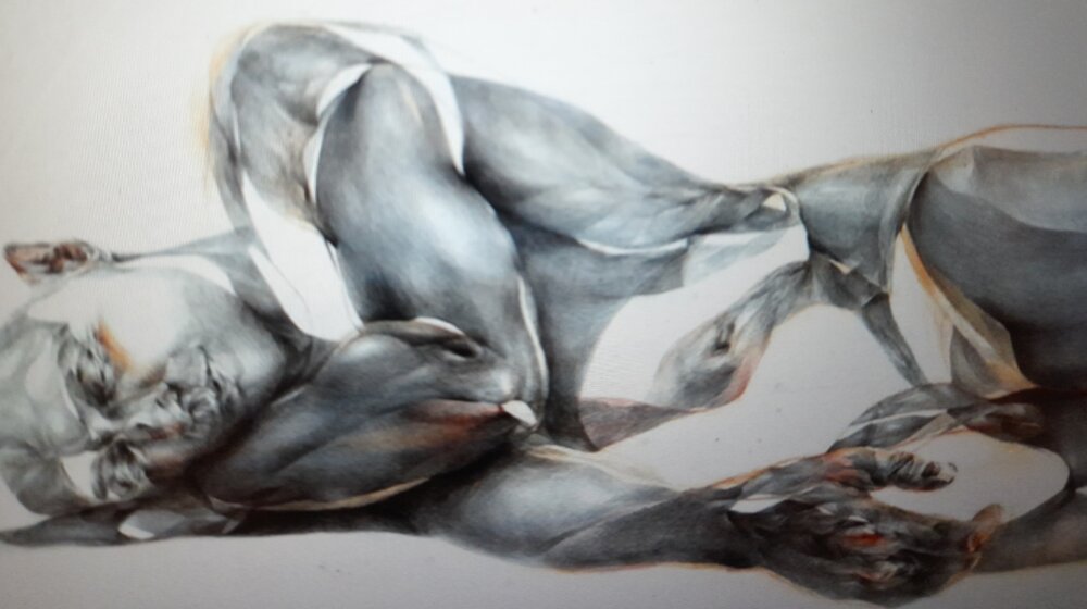 Izložba novih laureata Nagrade za crtež Fondacije "Vladimir Veličković" i Galerije Haos 1