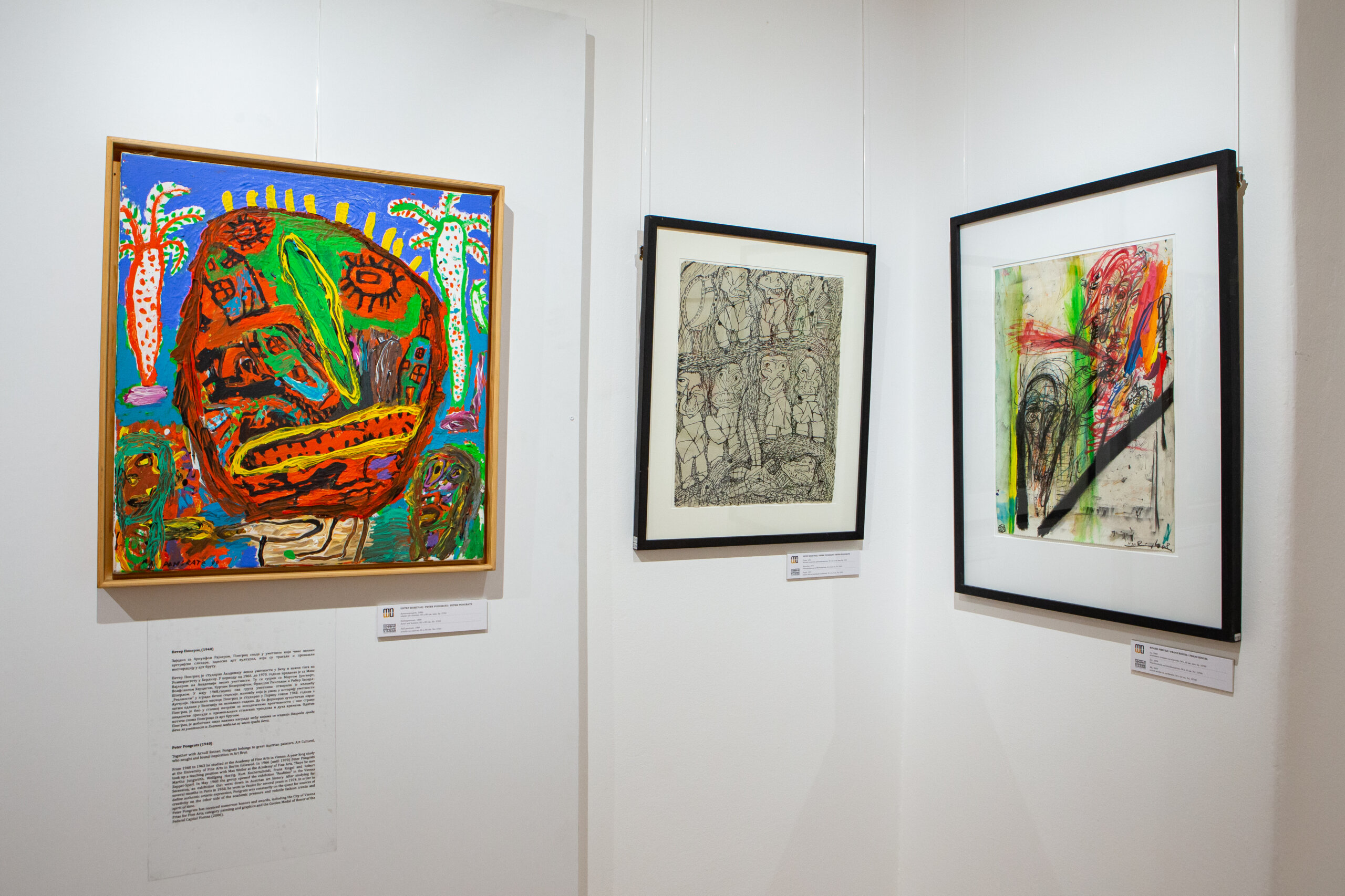 U Novoj godini umetnosti želim manje predrasuda, a više slobode: Direktorka Muzeja naivne i marginalne umetnosti Ivana Bašičević Antić o izložbi „Art brut. Radovi iz kolekcije Infeld“ 5 Art brut