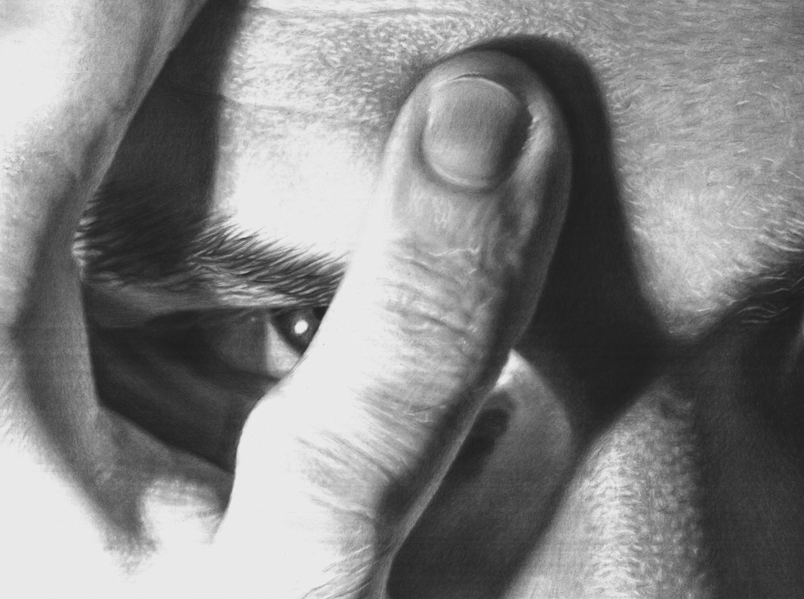 "Bez naziva": Hiperrealistički crteži Mladena Mićića kao odavanje počasti malom čoveku 2 Mladen Mićić