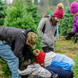 Park novogodišnjih jelki u kragujevačkim Šumaricama 2
