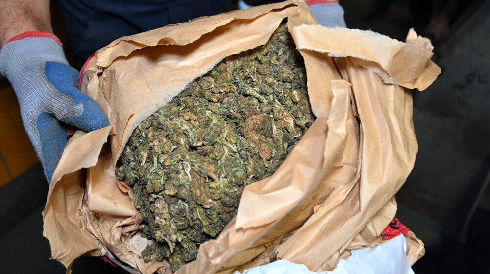 Trgovina drogom: Policija u Magliću pronašla trideset stabljika sasušene marihuane težine oko 17 kilograma, uhapšena trojica muškaraca 1