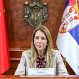 Đedović Handanović: Nova vlada će morati da razgovara sa Rio Tintom 4
