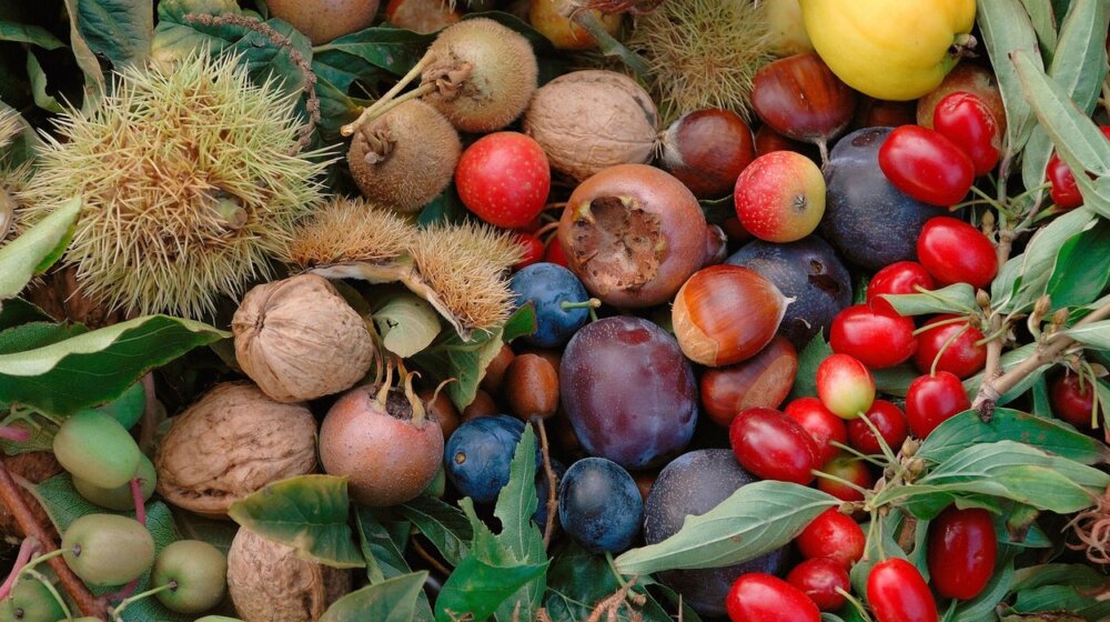 Uvrstite ove namirnice u ishranu i sprečite ranu smrt 1