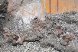 U Pompeji nađene figurice nalik božićnim jaslicama: Veruje se da su bile deo drevnog rituala (FOTO) 5