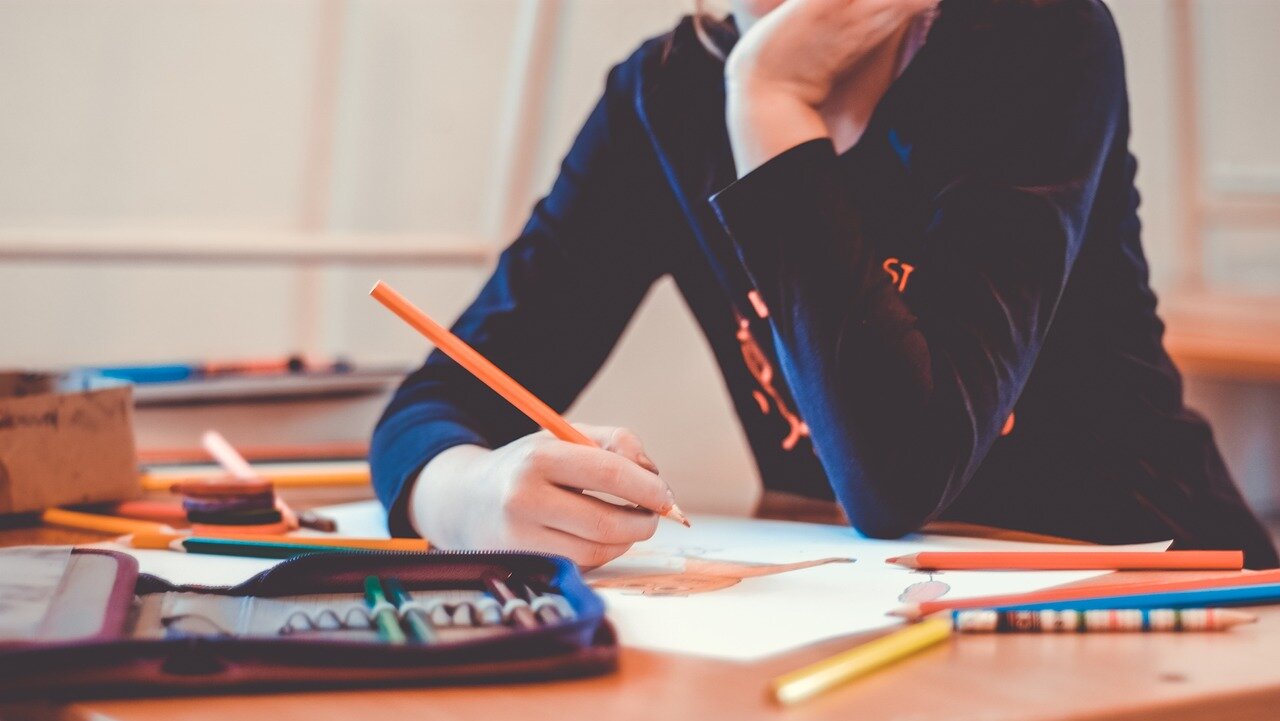 PISA je slika obrazovnog sistema Ministarka prosvete tvrdi da 17 odsto učenika ima izvanredna postignuća na PISA testu: Podaci govore drugačije 2