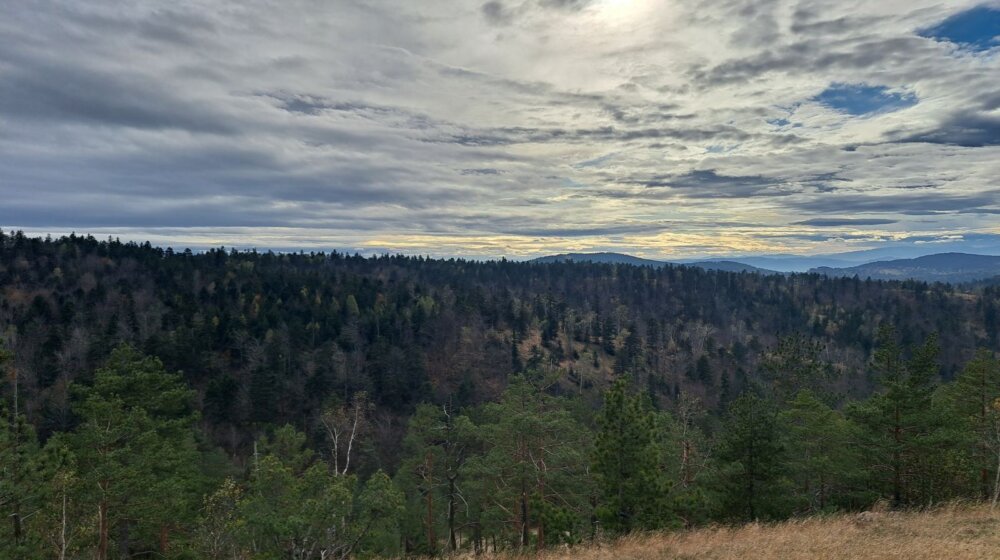 Spasena devojka koja je pala sa litice na Divčibarama, ima povrede glave i ruke 1