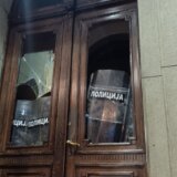 Srbija protiv nasilja: Poslali svoje huligane da prave incidente 3