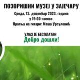 U galeriji Pozorišnog muzeja u Zaječaru predstaviće se pesnikinje poetskog kluba "Vlat" 5