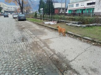 Sve rupe vlasti u Vučju kod Leskovca: Šta govori, a šta je ispunila u malom mestu na jugu Srbije? (FOTO) 2
