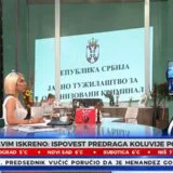 "Gospodin Zeleni" u ružičastom carstvu: Medijska kampanja usmerena na pritisak na sudske organe 4