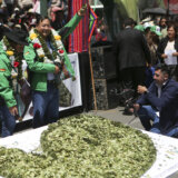 Hiljade Bolivijaca okupilo se u nekoliko gradova da žvaću list koke 7