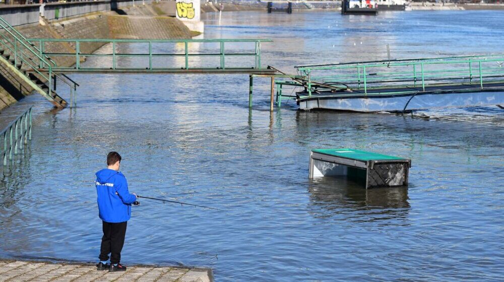 Vrh plavnog talasa u Novom Sadu, Dunav dostigao 579 centimetara: Tokom dana očekuje se opadanje vode 1
