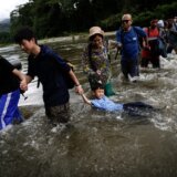 Pola miliona migranata prošlo 2023. kroz džunglu Darijen, na putu ka SAD 3
