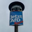 Nemački političar pogođen pikslom u glavu, noć proveo u bolnici 11