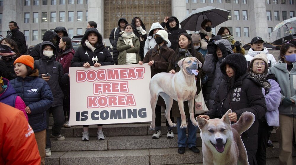 Južna Koreja zabranila farme pasa i prodaju njihovog mesa, konzumacija i dalje dozvoljena 1