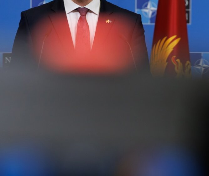 Spajić: Skoro pola Srba u Crnoj Gori za NATO, Mandićeve poruke miroljubivije nego Dalaj Lamine 1