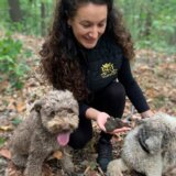 Tartufi: Od dobre zarade do zločina - potraga za prirodnim blagom u Srbiji 6