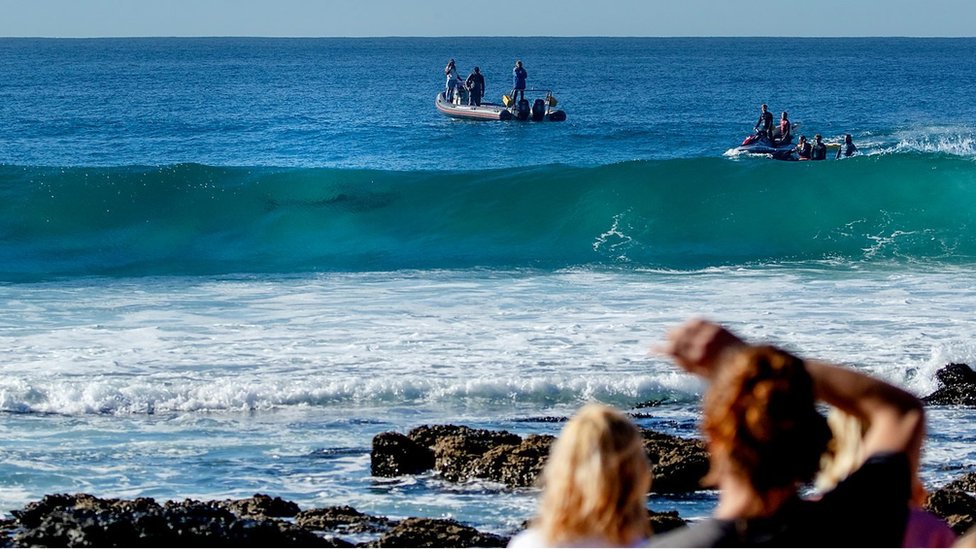 Životinje: Pravi razlozi zašto ajkule napadaju ljude 7 patrole