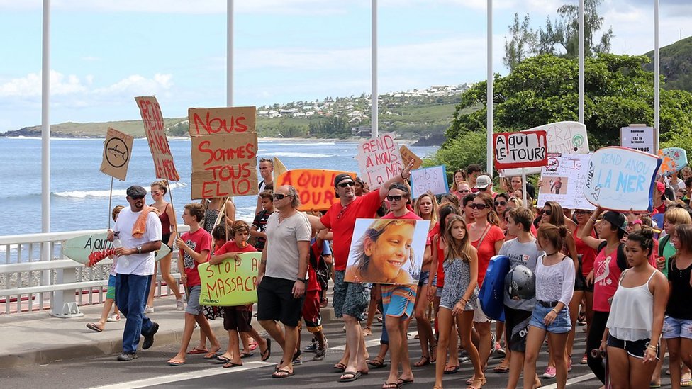 Životinje: Pravi razlozi zašto ajkule napadaju ljude 8 protest