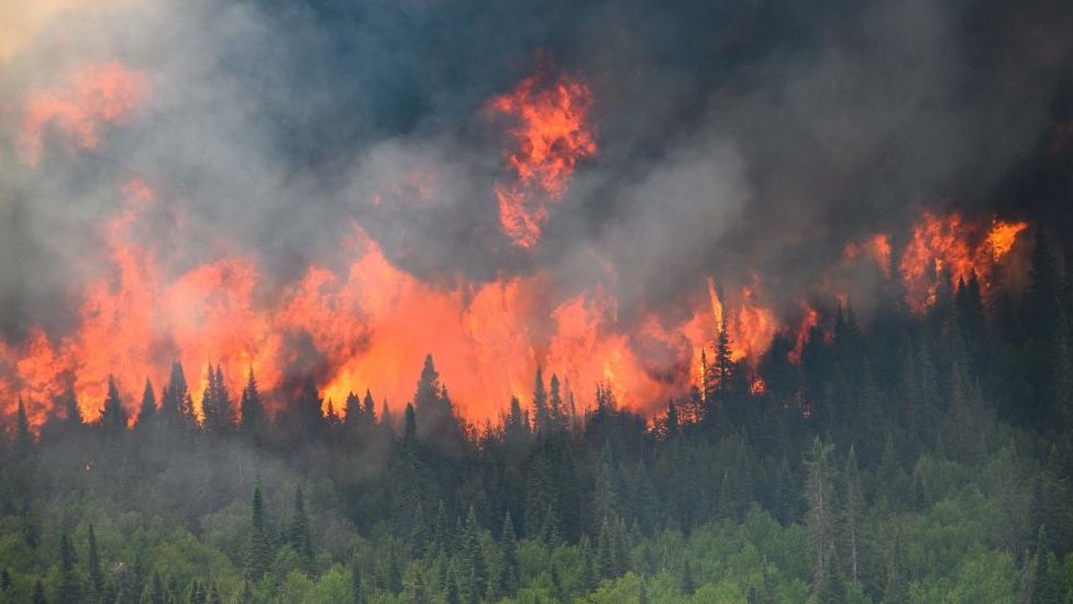 Flames and smoke as a wildfire burns a forest in Quebec, Canada.