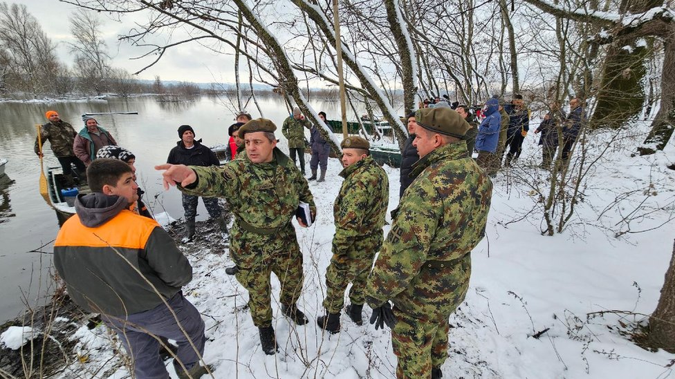 Srbija: Spasavanje životinja sa Krčedinske ade, ko je kriv što su ostale zarobljene 14 Vojska
