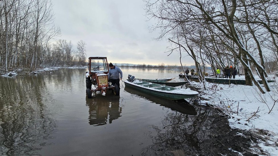 Srbija: Spasavanje životinja sa Krčedinske ade, ko je kriv što su ostale zarobljene 18 Traktor u vodi