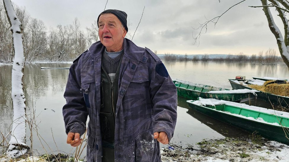 Srbija: Spasavanje životinja sa Krčedinske ade, ali zašto su ostale zarobljene 2 Milenko Plavšić