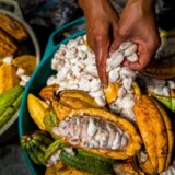 Čokolada: Stvarne Vili Vonke koje žele da promene ukus ove poslastice 3