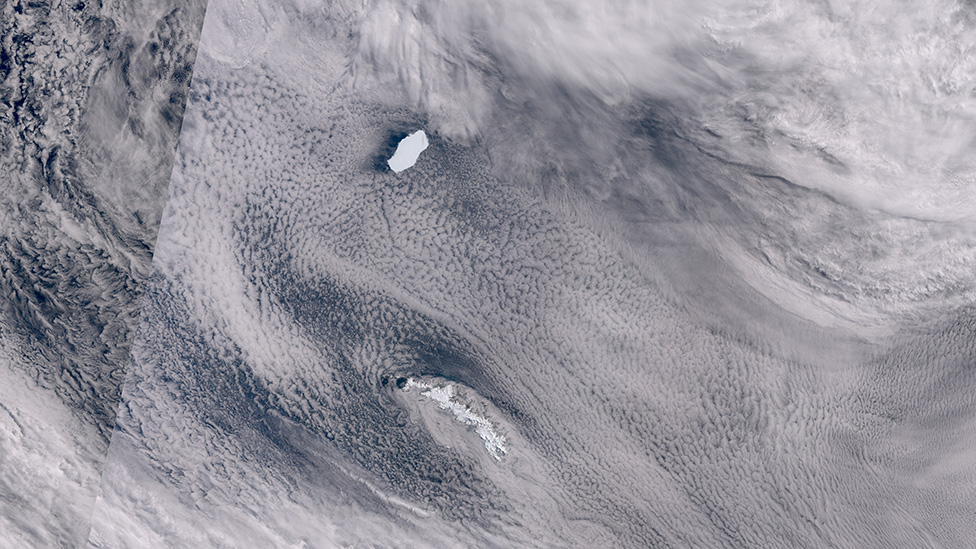 D28 i Južna Džordžija