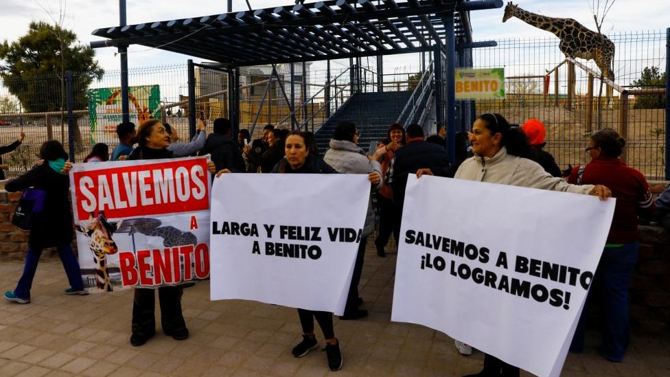 Activists from the 'Let's Save Benito' collective holding signs