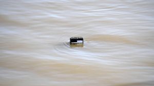 "Reke su pod kontrolom, država je u pripravnosti i nema mesta strahu": Oglasilo se Ministarstvo poljoprivrede, šumarstva i vodoprivrede 1