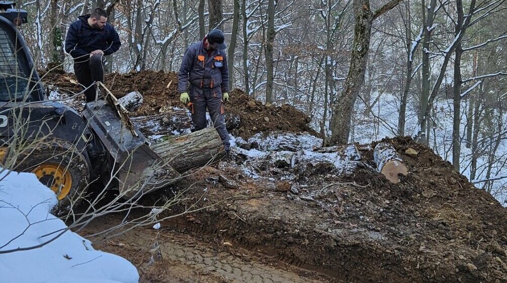 Traži se smena direktora Nacionalnog parka Fruška gora: Popločava šumsku stazu na Stražilovu bez potrebnih dozvola 1